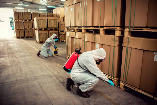 Best Best Pest Control Companies  in Trainer, PA