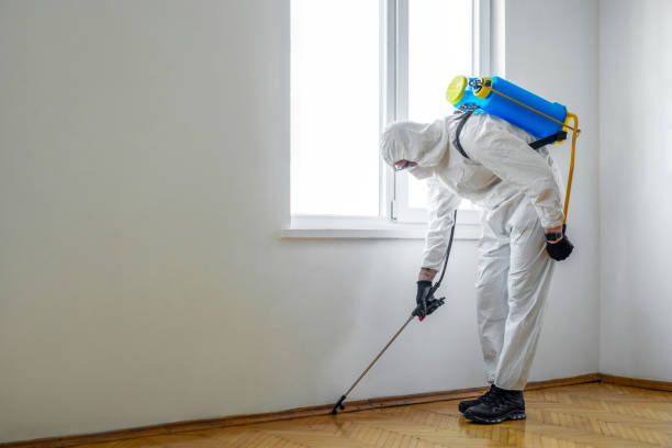 Best Pest Control Treatment  in Trainer, PA