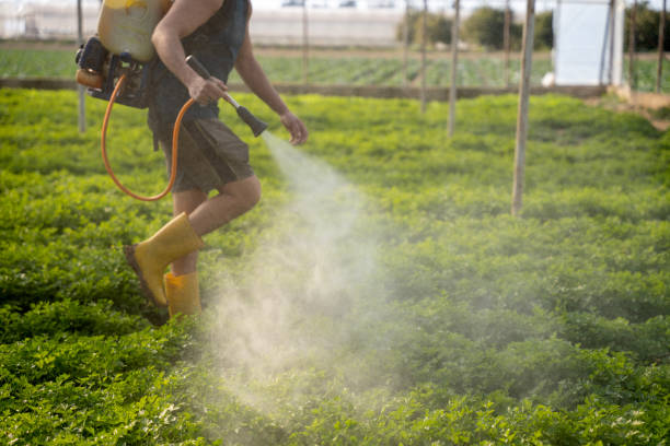 Best Commercial Pest Control Services  in Trainer, PA